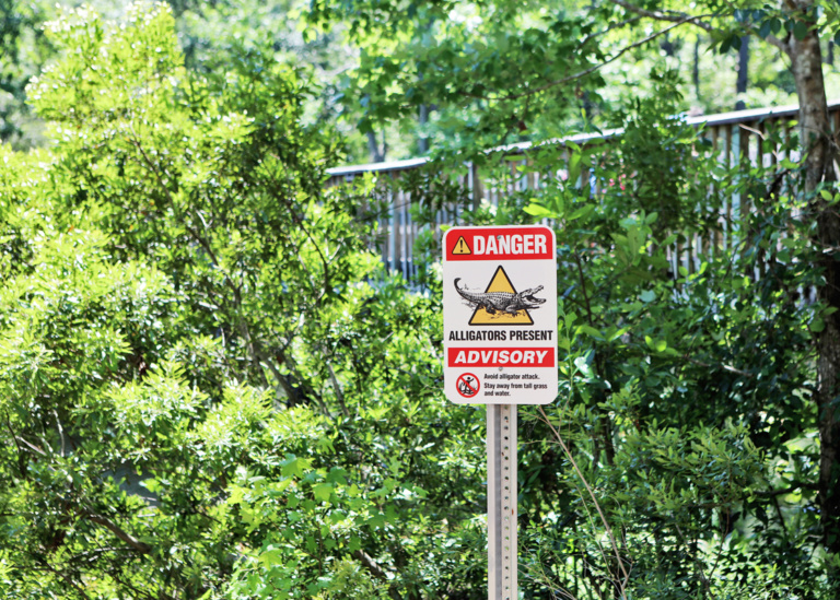 Local Love – UNF Nature Trails