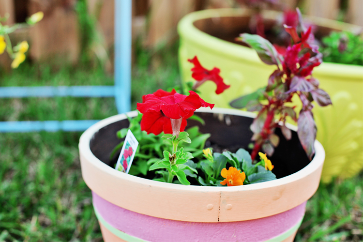 Planters: Before and After