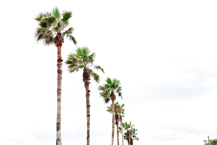 Let&rsquo;s Go to the Beach