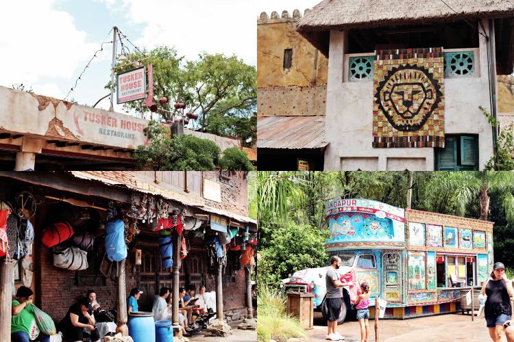 Disney&rsquo;s Animal Kingdom